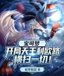 宝可梦:开局天王利欧路横扫一切